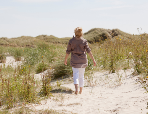 Travel Tips for the Savvy Vacationer: How To Save Money on Your Trip