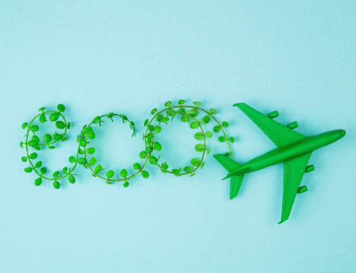 How to Make Luxury Trips Eco-Friendly: Sustainable Practices for the Discerning Traveler